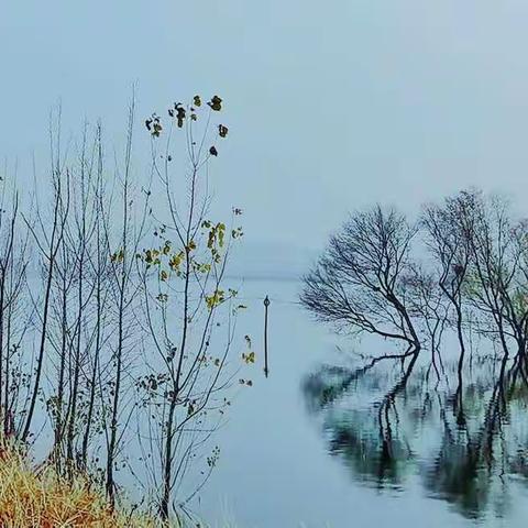 去九里湖，看桑田沧海