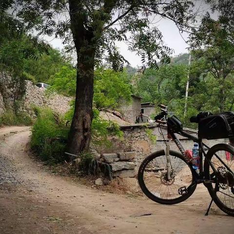 诗和远方之鹅老翅窑