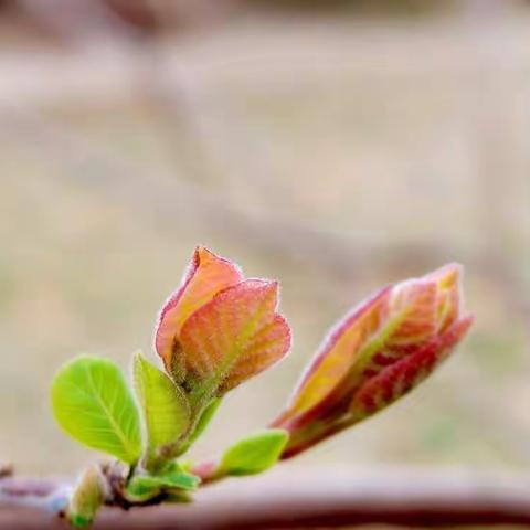 半途而废青龙洞