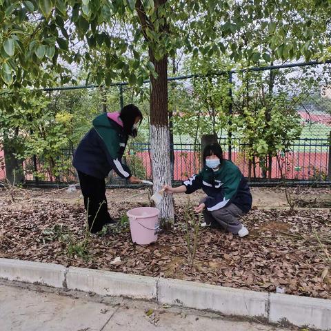 灰埠中学高一(6)班12月16日劳动课纪实