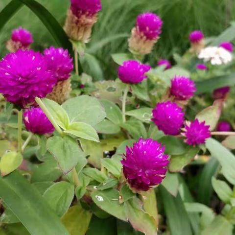 【微信营销互动的重要性】