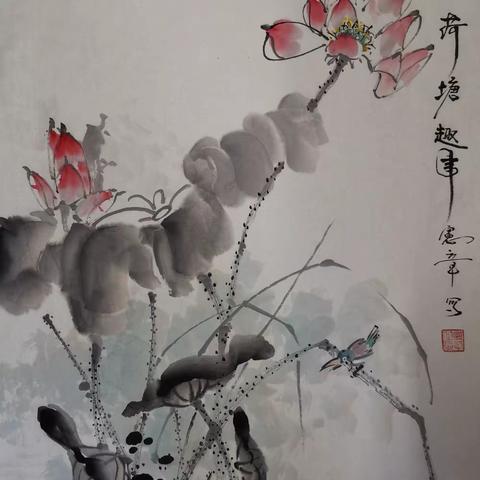 朱老师花鸟网络课堂集