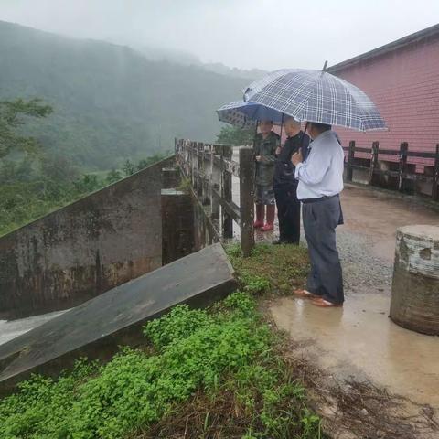 县委常委、公安局局长马琼才，县人大常委会副主任冯少波到细水乡指挥协调防风防汛工作