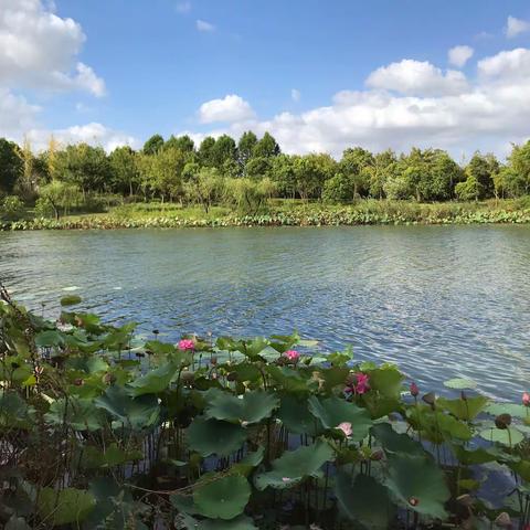 怡沁园度假村——群活动14期