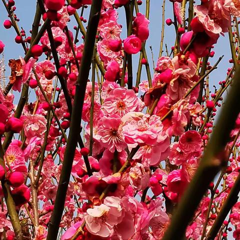 我的2019年