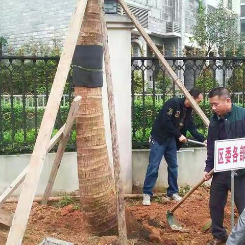 植树造林，绿化家园――秀英区委政法委积极参加“3.12”义务植树活动