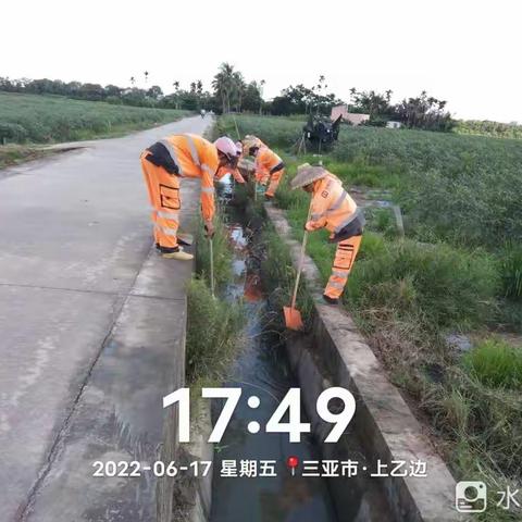 三亚盈合环境6月17日环境卫生整治情况（槟榔片区沟渠）
