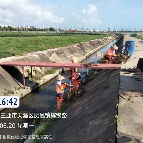 三亚盈合环境6月20日环境卫生整治情况（槟榔片区沟渠）