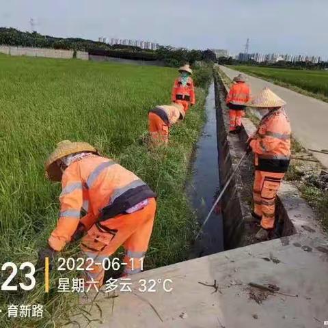 三亚盈合环境6月11日环境卫生整治情况（高峰沟渠项目）