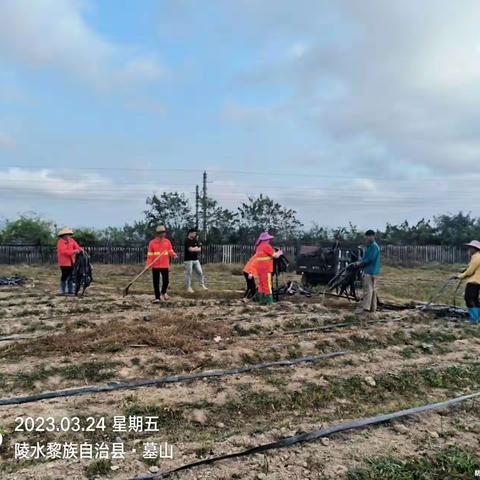 隆广镇开展环岛高铁高速（隆广段）沿线环境卫生整治行动