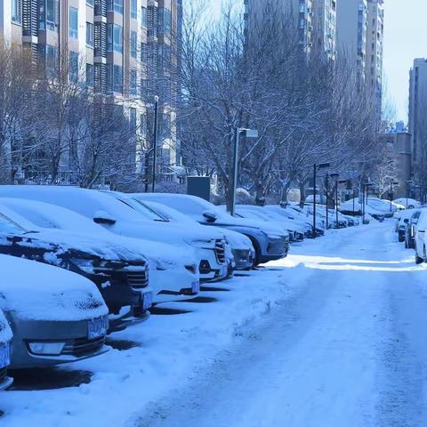 被雪覆盖着的车