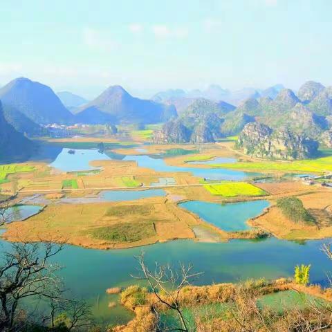 我在春天等你