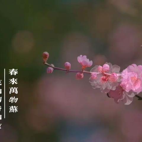 惊艳时光，“梅”好相约———青少年大策略联盟第80期