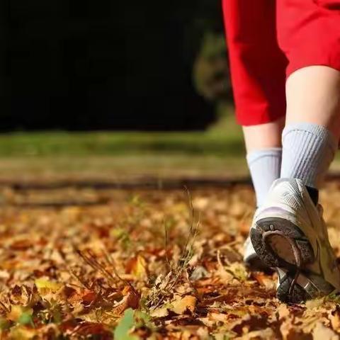 有凤来栖•邂逅晋城———大联盟暑期在行动