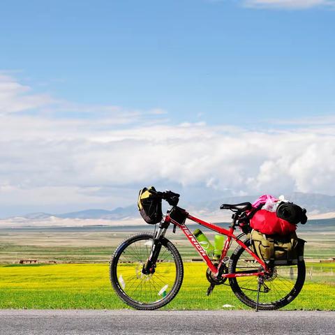 🚵🏻“骑”乐无穷——青少年大策略联盟第84期活动预告