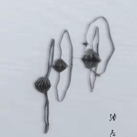 画意残荷摄影：老邮差