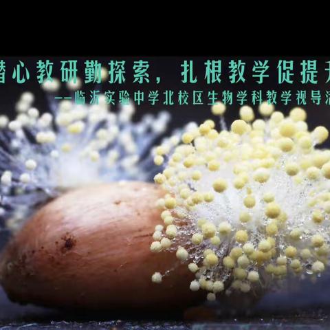 潜心教研勤探索，扎根教学促提升——临沂实验中学北校区生物学科教学视导活动