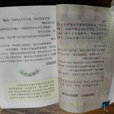 综合性学习掠影