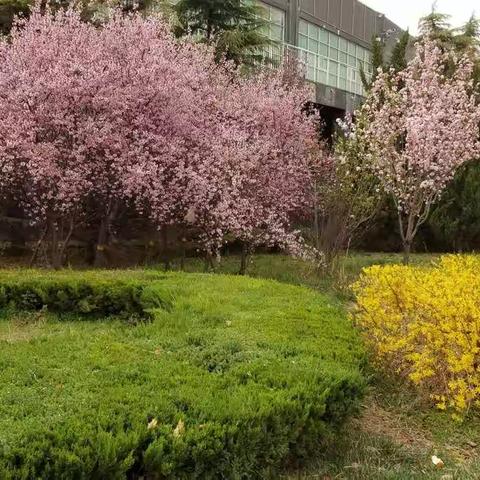 阴历二月十六，阳历3月28与潇月体育场🏟️一游