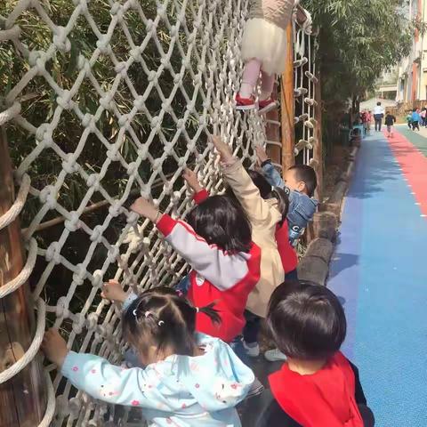 蓝泊湾幼儿园快乐小一班一周小记