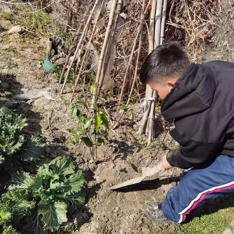 劳动最光荣—记镇西小学402班寒假劳动