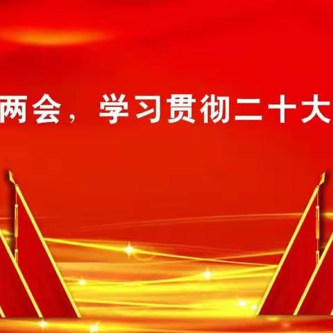 贯彻二十大精神   践行初心迎两会