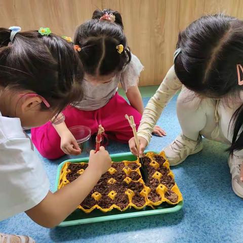 《一日生活区域自主游戏活动》——清秀幼教集团雅乐幼儿园   大三班美篇