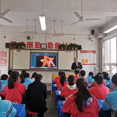 初中生物“名师➕”研修共同体实验观摩课