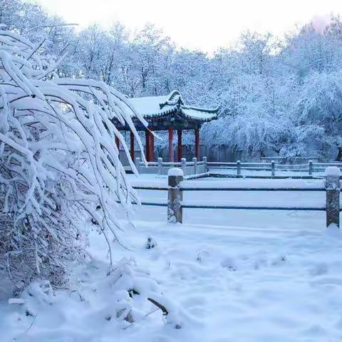 （朗读者）北马路小学五年级3班吕洋《雪》