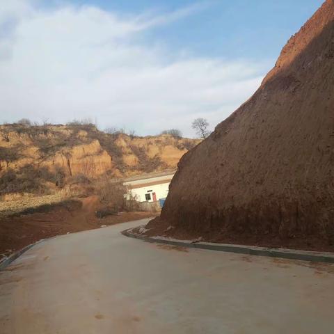 西营自然资源所一月份工作动态