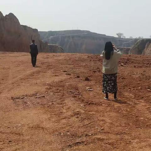 西营自然资源所4月份工作动态