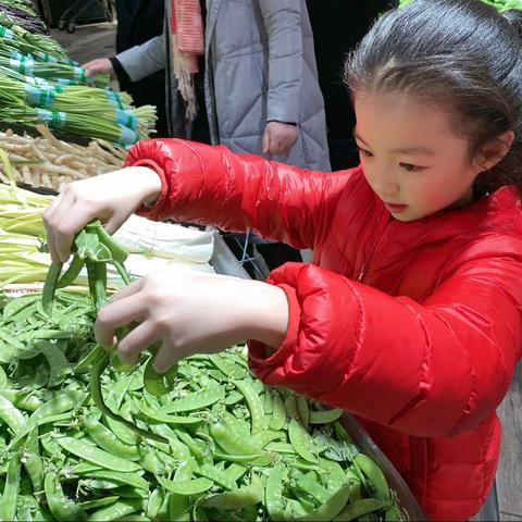 寒假实践活动——硒都民族实验小学一（0）3班 崔语墨的多彩寒假