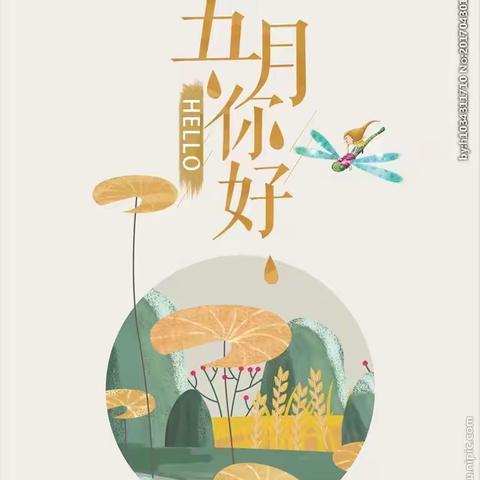 乡贤街小学综合组第十三周线上教学工作总结