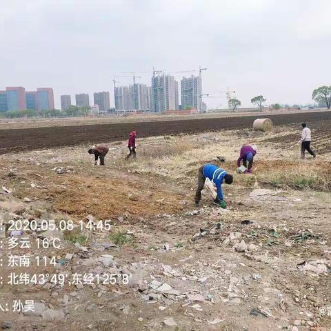 依靠基层组织力量，共建整洁美丽家园