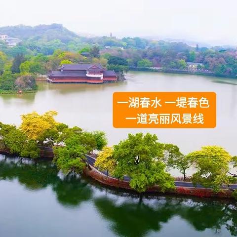 ［春之绚］一湖春水 一堤春色  一道亮丽风景