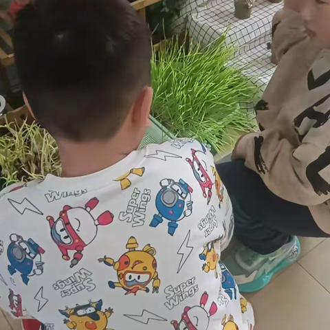 chenxuejiao的美篇