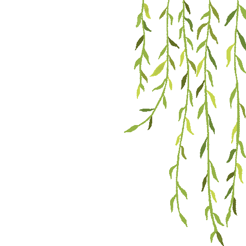 “春暖花开忆清明”——双龙镇中心社区幼儿园大班清明主题活动