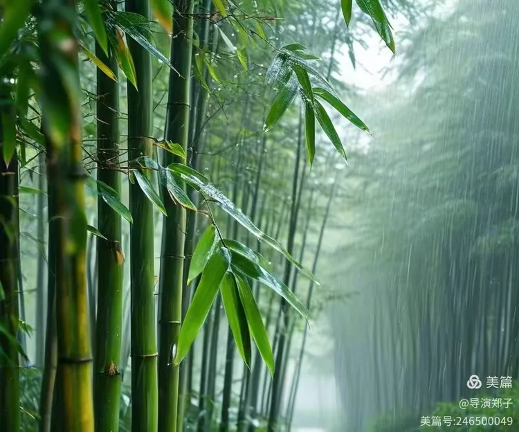 图片[7]-望眼欲穿春秋衣 雄关漫道家信寄-华闻时空