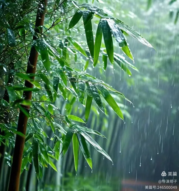 图片[6]-望眼欲穿春秋衣 雄关漫道家信寄-华闻时空