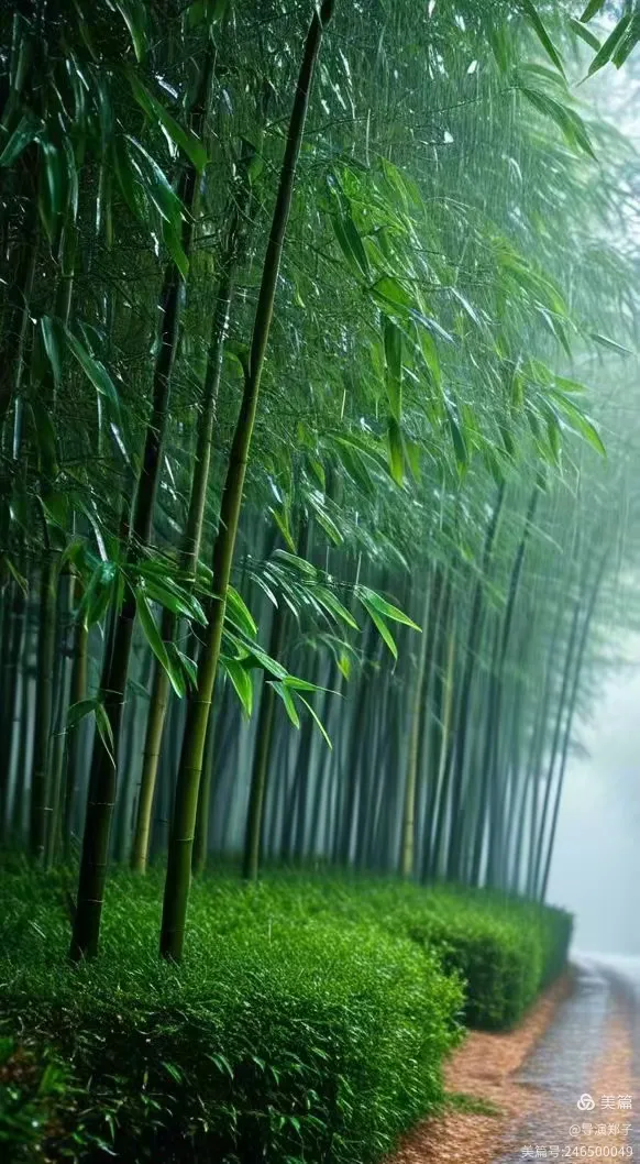 图片[8]-望眼欲穿春秋衣 雄关漫道家信寄-华闻时空