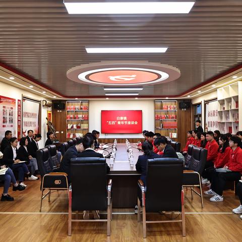 白寨镇：召开五四青年节座谈会