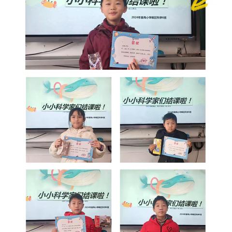 24秋泰禹小学科学6班课程回顾