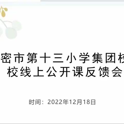 发挥引领辐射作用，促进教育优质均衡——哈密市第十三小学集团校分校线上公开课反馈会