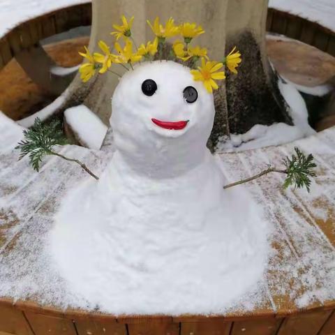 2022.02.22.春城金殿的一场雪