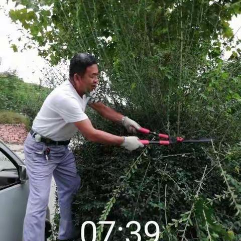 有你，城市的街道才更加宽敞洁净；有你，城市的空气才更加清新，有你，城市才觉得更加和谐宜居！