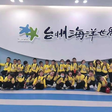 我和海洋动物有个约会