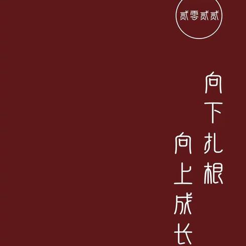 向下扎根，向上成长——2021－2022学年度工作总结