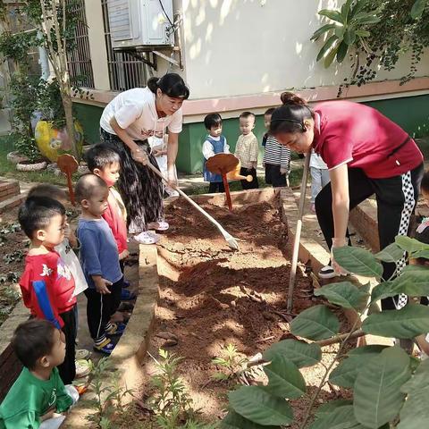 班级动态｜你好！青菜——西秀镇中心幼儿园小五班种植故事