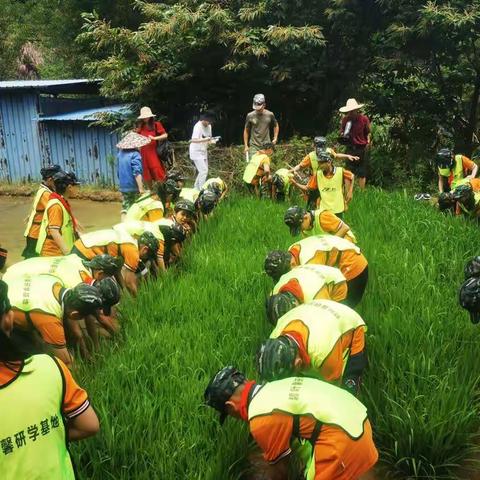 感受农耕文化，体验劳动之乐——五(3）研学第一天侧记