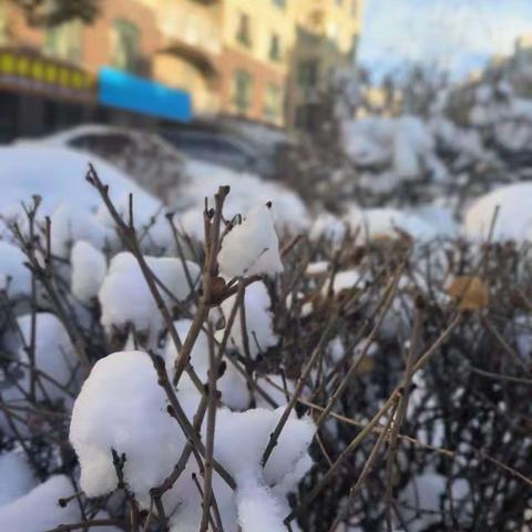 雪